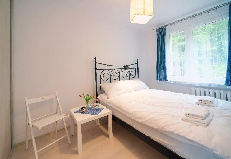 Trevilles Apartamenty - Granatowy Szklarska Poręba Buitenkant foto